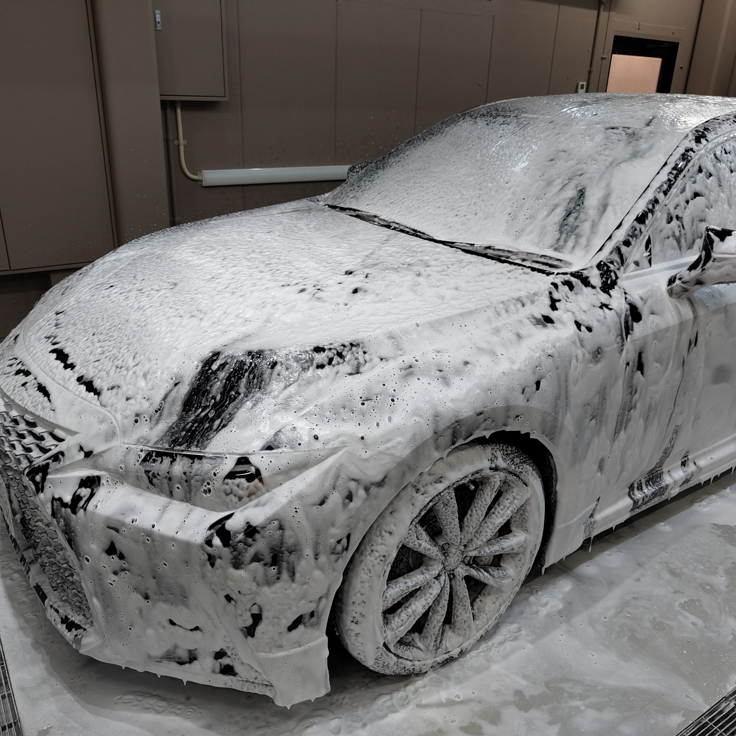 3pH洗車施工事例｜水垢・花粉汚れ除去｜大田区カー洗車サービス3Dfit